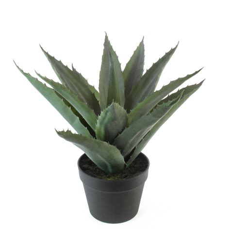 Plante Verte Agave Artificielle Pineuse Cm Artiplantes