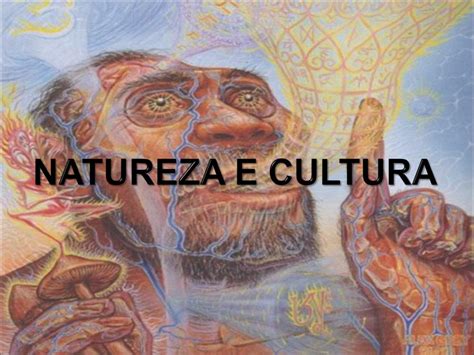 Natureza E Cultura Na Filosofia - Natureza E Cultura Filosofia - FDPLEARN