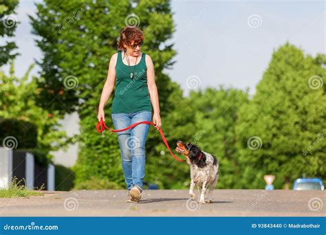 Mature Woman With Brittany Dog At The Leash Stock Photo Image Of