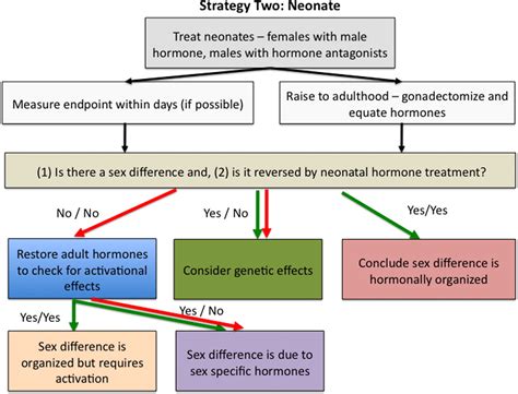 Sex Differences In The Brain The Not So Inconvenient Truth Journal Of Neuroscience