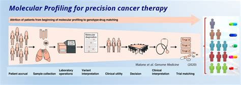 Precision Medicine In Oncology Institute For Genetic And Biomedical