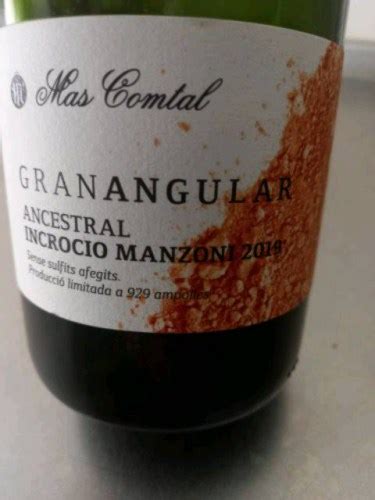 Mas Comtal Gran Angular Ancestral Incrocio Manzoni Vivino