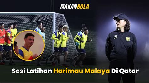 Sesi Latihan Harimau Malaya Di Qatar Youtube