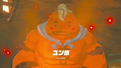 謎解きに弱すぎる男の抗い 名作謎解きゲーをiq3がゆく ゼルダの伝説botw 実況プレイ46 Youtube