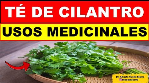 T De Cilantro Usos Medicinales Youtube