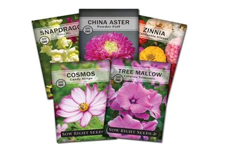 Best flower seed packets | Real Homes