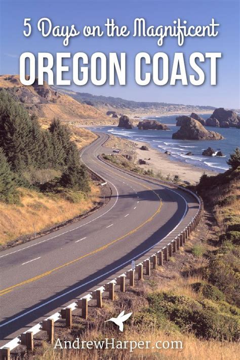 We Have An Unforgettable Roadtrip For You Through The Oregon Coast