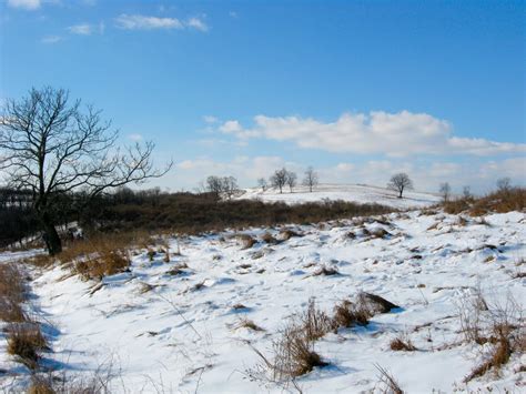 Let It Shine: Trexler Game Preserve, Schnecksville, Pennsylvania