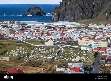 Vestmannaeyjar Westman Islands Iceland Stock Photo Alamy