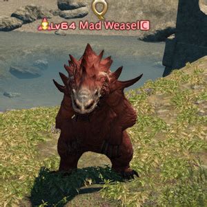 mad weasel gamer escapes final fantasy xiv ffxiv ff wiki