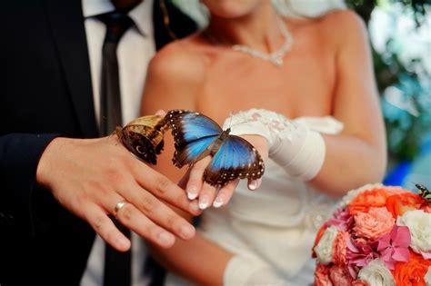 Having A Wedding Butterfly Release My Frugal Wedding