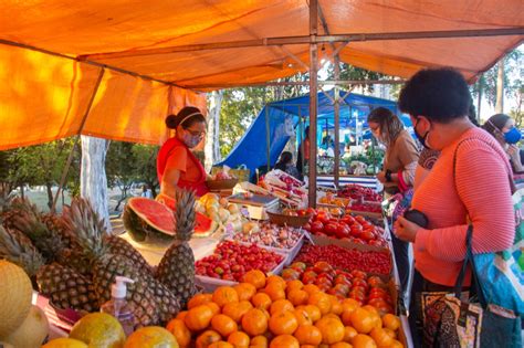 Feira Livre Retorna Ao P Tio Do Parque Vit Ria R Gia Cidade Jovem