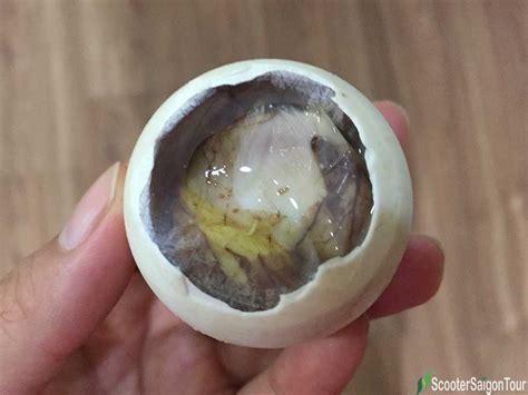 Balut In Vietnam Fertilized Duck Egg Or Hot Vit Lon Scooter Saigon Adventure