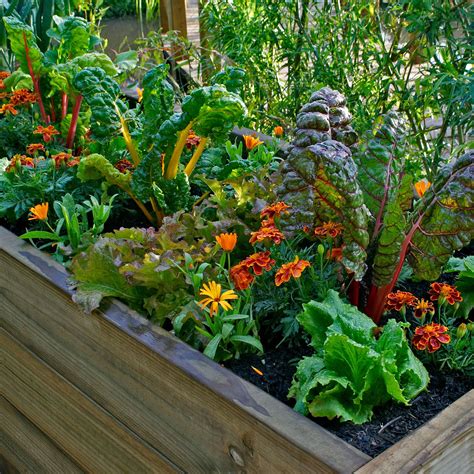 lasagna how to layer 5