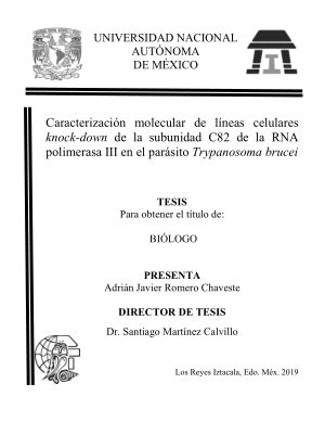 Caracterizaci N Molecular De Lineas Celulares Knock Down De La