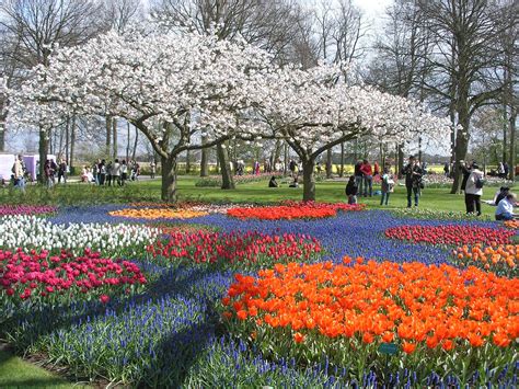 15 Tempat Wisata Di Belanda Yang Wajib Dikunjungi Tempat Wisata