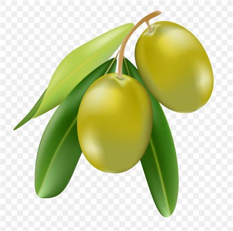 Olive Oil Cartoon Illustration, PNG, 1000x993px, Olive, Cartoon, Citrus ...