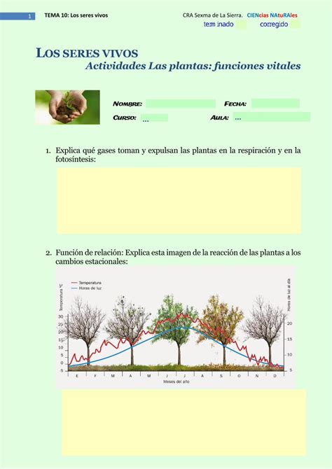 Pdf Os Seres Vivos Actividades Las Plantas Funciones