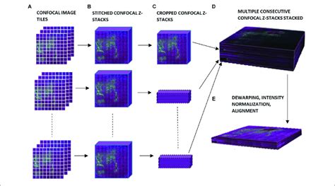 Schematic Of Workflow For 3D Image Reconstruction Illustrating A