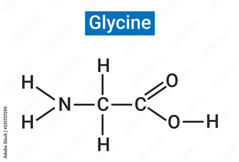 Structural Formula Of Glycine