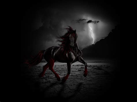 Black Stallion hd wallpaper | Home of Wallpapers | Free download hd ...