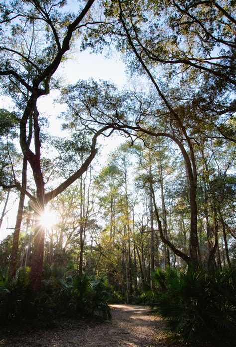 Camping at Juniper Springs in Ocala National Forest, Florida « Hidden ...