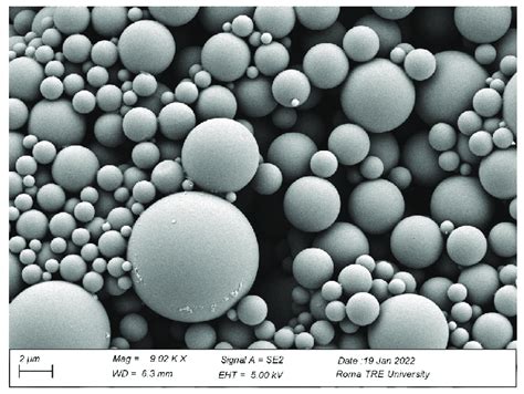 Scanning electron microscope (SEM) image of stock suspension of MP ... 