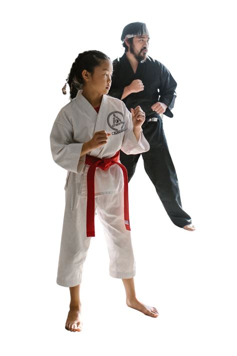 Karate Training Clothes, Equipment & Books – Pocket Karate