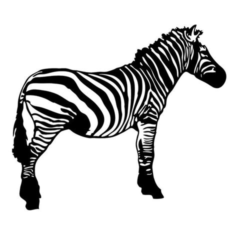 Zebra Vector Resource By Pixelworlds On Deviantart