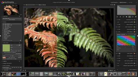 Darktable Lan Ado Novos Recursos E Melhorias