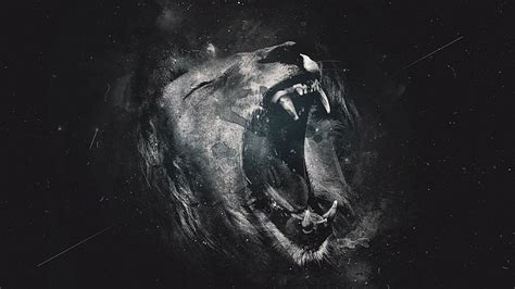 HD wallpaper: lion, roaring, 4k | Wallpaper Flare