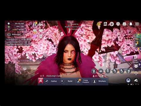 My Favorite Boss Rush Hexe Marie Black Desert Mobile YouTube