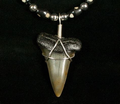 Fossil Mako Tooth Necklace For Sale Fossilera