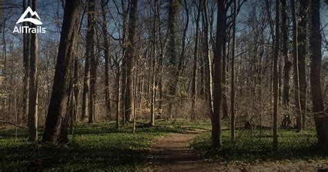 Best Wheelchair Friendly Trails In New Canaan Alltrails