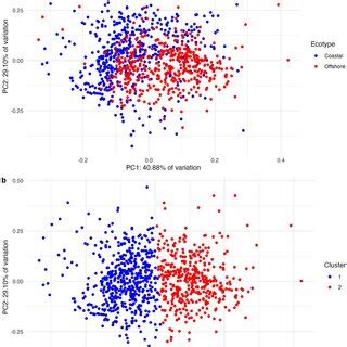 Pantropical spotted dolphin whistle variation in frequency and duration... | Download Scientific ...