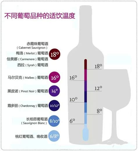 红酒必备知识：葡萄酒的最佳饮用温度 知乎