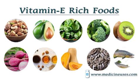 Which Fruit And Vegetables Have Vitamin E Best Vegetable In The World