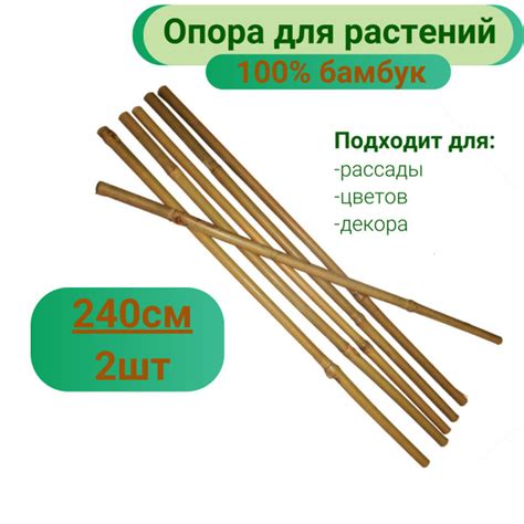 Бамбуковые палки для растений и цветов 240см х 2шт - купить по выгодной ...