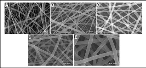 Table 1 From Preparation And Characterization Of Silk Fibroin Poly L