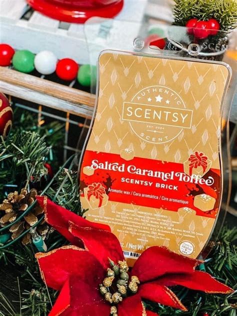 Salted Caramel Toffee Scentsy Brick 🧱 Scentsy Brick Scentsy Diy