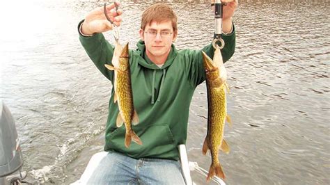 17 Best Pickerel Fishing Lures | By Captain Cody