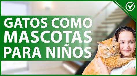 Es Bueno Tener un Gato Como Mascota Para Niños Beneficios y