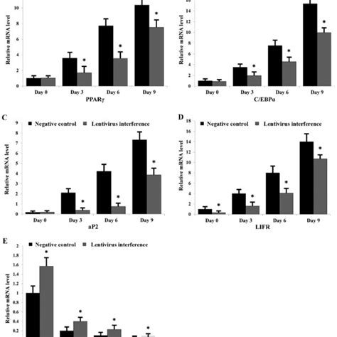 Leukemia Inhibitory Factor Receptor Knockdown Significantly Impairs