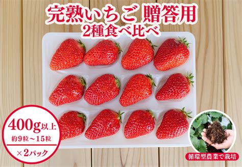 西粟倉村 完熟いちご 贈答用 2種 800g400g×2 食べ比べセット M Fi A07a｜ふるラボ