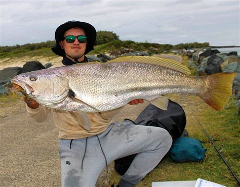 Land Based Lure Fishing Tips Tackle Tactics