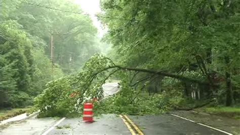 Storm Knocks Down Trees In Wilmington