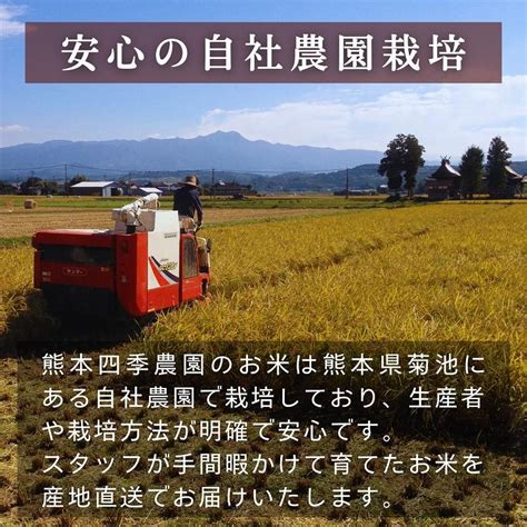 新米予約 無肥料 自然栽培米 令和6年産 ヒノヒカリ 10kg 農薬化学肥料不使用 白米 玄米 0031 熊本四季農園yahoo店