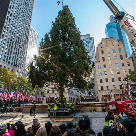 Rockefeller Center Christmas Tree Lighting How To Watch Who S