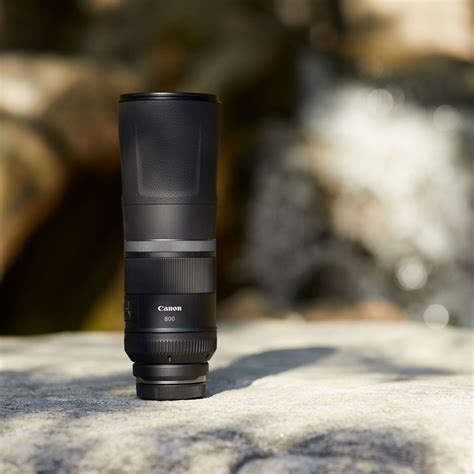 Buy Canon RF 800mm F11 IS STM Lens — Canon UK Store