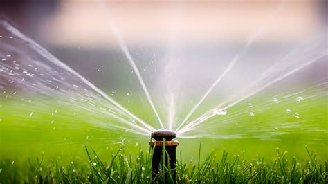 Best Sprinklers to Use for Your Large Lawn This Summer | by Green ...